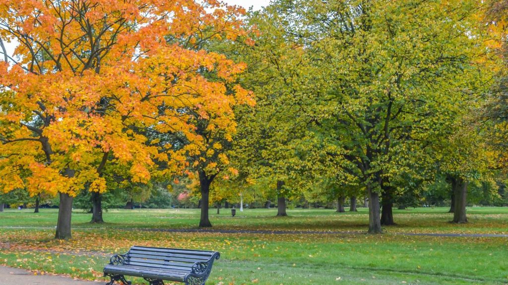 Explore Hyde Park London: A Must-Visit Destination